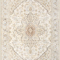 Beige Brown Vintage Area Rug
